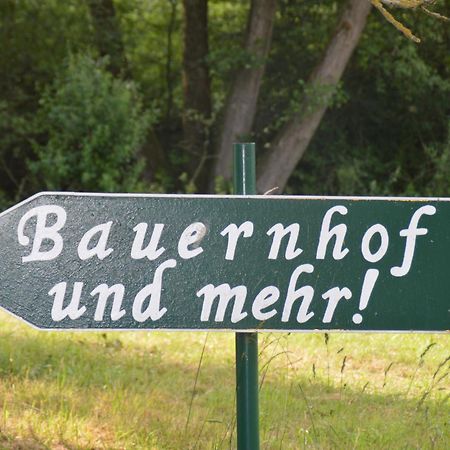 Kleine Einzigartige Ferienwohnung Auf Dem Bauernhof, Direkt In Der Natur Mit Blick Auf Schloss Braunfels Eksteriør billede