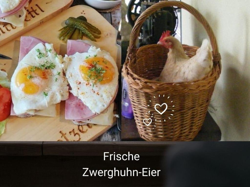 Kleine Einzigartige Ferienwohnung Auf Dem Bauernhof, Direkt In Der Natur Mit Blick Auf Schloss Braunfels Eksteriør billede